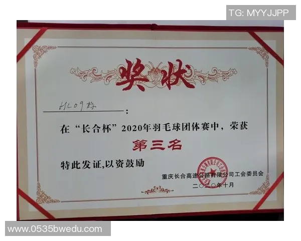 重庆羽毛球队在锦标赛中的耐力表现分析与总结 重庆羽毛球队在锦标赛中的耐力表现分析与总结