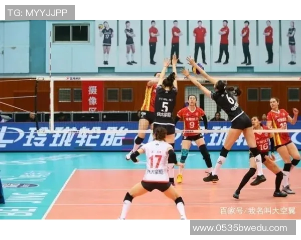 赛后分析：深圳排球队与杭州排球队技术对比与战术探讨