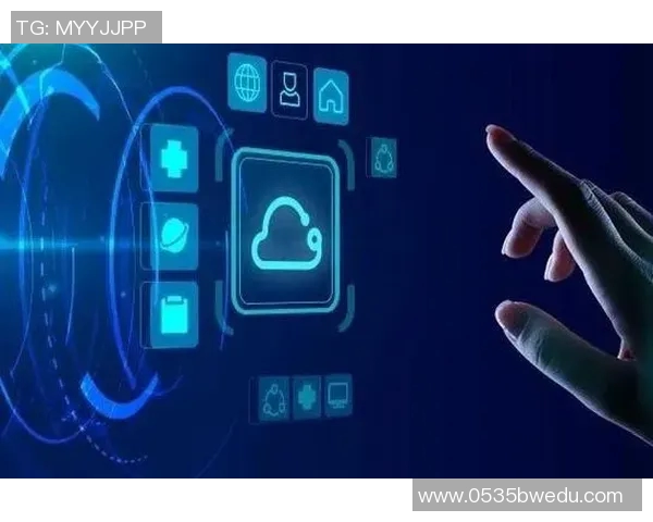 专业分析：北京极限运动队如何运用创新策略提升团队运营效率