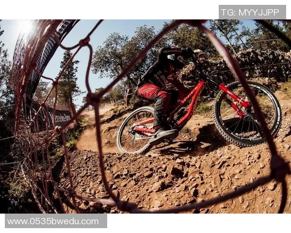 杭州极限运动队在世界杯赛场的经验与表现分析