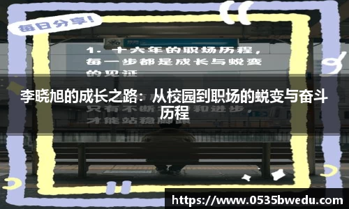 im电竞官网